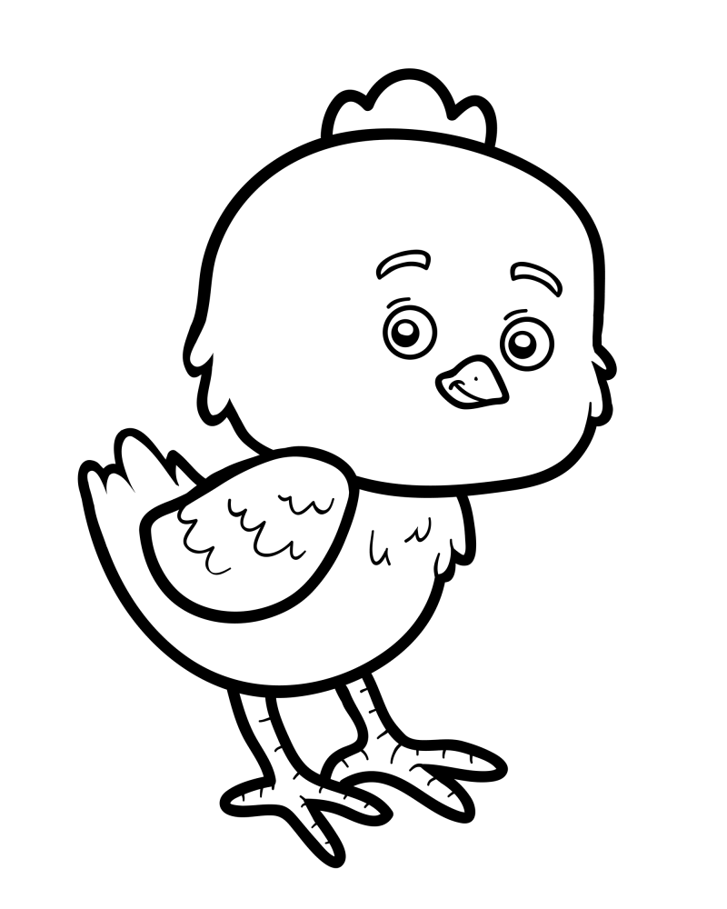 可爱的小动物-小鸡