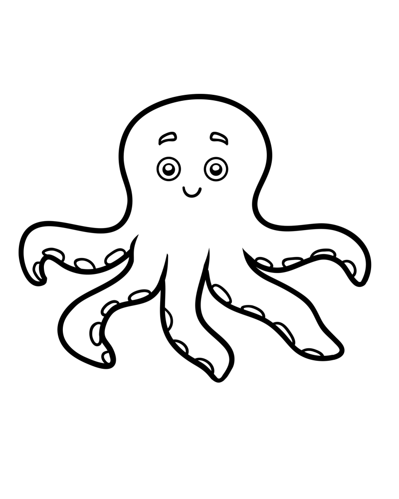 可爱的小动物-八爪鱼