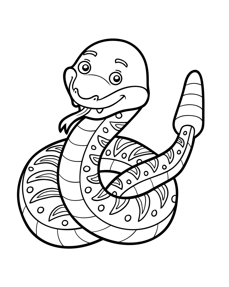 可爱的小动物-蛇