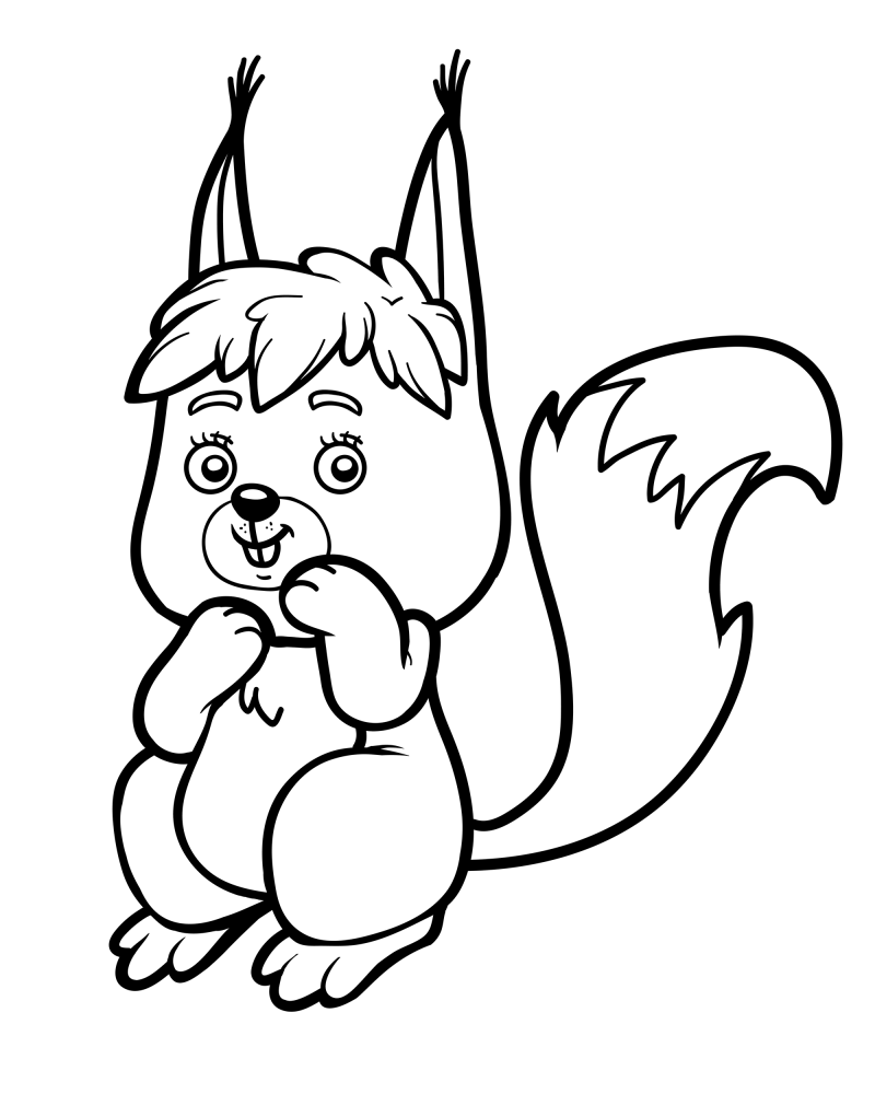 可爱的小动物-松鼠