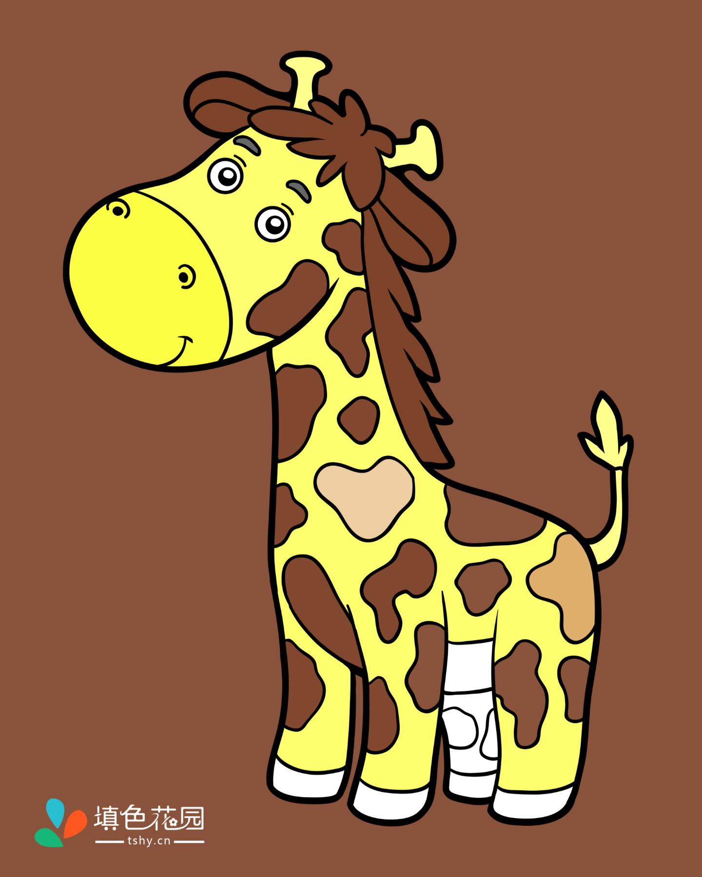 可爱的小动物-长颈鹿